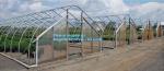 high quality tunnel single span galvanized arch green houses,Plant Large Walk in