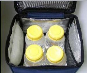 Buy cheap sell thermal ice packs,insulated ice packs,breast milk cooler bag(SK-BD250 super cold pack) product