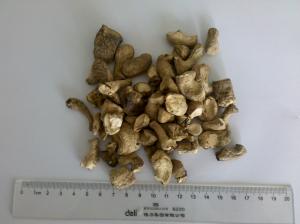 Buy cheap HACCP Standard Dried Shiitake Mushrooms / Chinese Dried Mushrooms Leg Cubes product