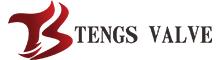 China Tengs Valve International Limited logo