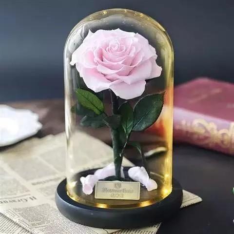 Long life Glass Cover Preserved Real Fresh Forever Rose in Glass