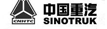 China チーナンのsinotrukの国際的な部co.、株式会社 logo