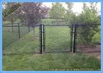 11.5 Gauge Green PVC Coated Galvanized Chain Link Fence for farm garden