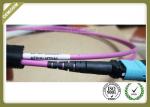 MTP TO MTP OM4 12 Core Fiber Optic Patch Cord Violet Color Multimode LSZH Jacket
