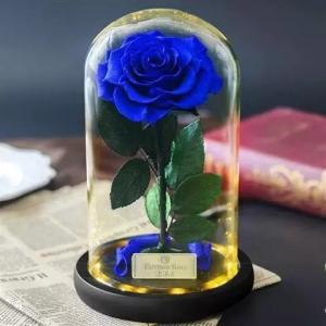 Buy cheap Long life Glass Cover Preserved Real Fresh Forever Rose in Glass product