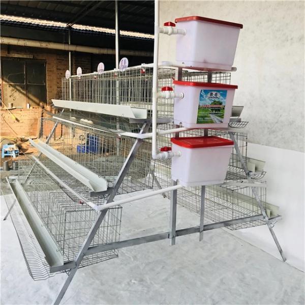 Animal Husbandry Electric Galvanized Poultry Chicken Cages