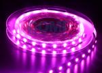 5050 LED Strip Lights Pink Color 25000K , 12 / 24 Volts Led Light Strips 12mm