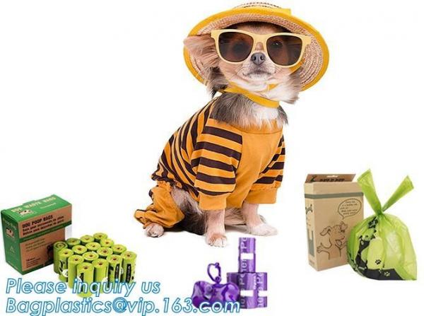 Pet Leash & Harness & Collar Cat Furniture & Scratchers Pet Beds Pet Toys Pet Clothes Pet Cleaning & Grooming Product Pe
