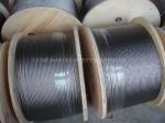 Hot Dipped Galvanized Ungalvanized Plastic Coated Steel Wire Rope