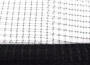 Buy cheap 3/4'' Mesh Size Insect Mesh Netting Anti Bird Net Tough Deer Fence 2 Meter Width product