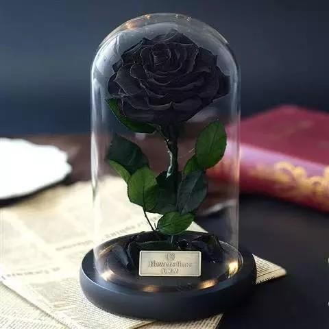 Long life Glass Cover Preserved Real Fresh Forever Rose in Glass