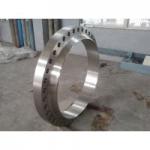 Nitronic 60 Alloy 218 UNS S21800 WN SO Blind flange forging disc ring