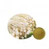 Buy cheap Brown Yellow Fine Enoki Mushroom Extract Strengthen Immune System HPLC Test from wholesalers
