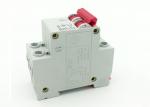 High Breaking Capacity MCB Circuit Breaker For Dwelling House Two Poles