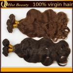 SGS 360 Frontal Wig Brazilian Remy Natural Wave Human Hair Extensions Sleek