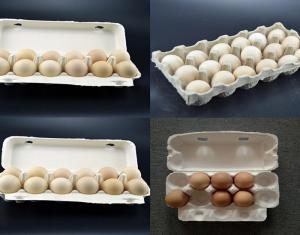 Buy cheap Small Capacity Paper Egg Carton Making Machine With ABS Molds Easy Operation product