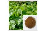 100% Natural Mulberry Leaf Extract with 1- Deoxynojirimycin ( 1% DNJ ) Reduces