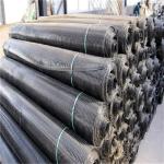 Hot sale 1-6 Meter width black color PP Biaxial Geogrids For Slope Stabilization