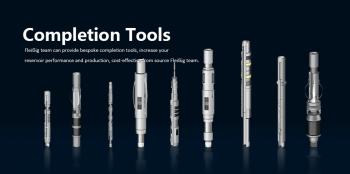 Fleibig Completions Tools Co. Ltd.