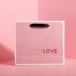 Fashion Style Colored Paper Goodie Bags / Gift Bags With Handles