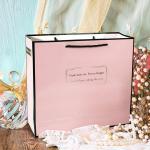 Fashion Style Colored Paper Goodie Bags / Gift Bags With Handles