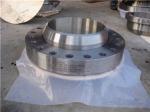 Nitronic 60 Alloy 218 UNS S21800 WN SO Blind flange forging disc ring
