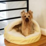 Round Winter / Summer Waterproof Memory Foam Dog Bed With Inner Cover 12lbs