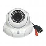 1.0 Megapixel Vandalproof Day & Night Indoor Whelk CCTV IP Security Cameras DR