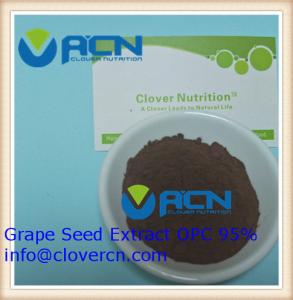 Buy cheap ACNS00199 Grape Seed Extract OPC 95%/Polyphenols 85% | A Clover Nutrition Inc | pure grapeseed extract product