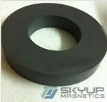 Ring Ferrite magnets and Ceramic Magnets made by professional factorty used in