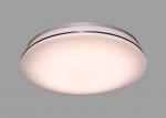 Modern Design Indoor LED Ceiling Light Fixtures Durable With TUV CE Certificatio