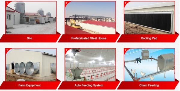 Gas Heater with 65kw for Poultry Farm Chicken House birds feeding/ Poultry Farm Equipment / Industry Heater Provided