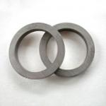 Rare Earth Bonded NdFeB Magnet N42 with Anti-corrosion Coating