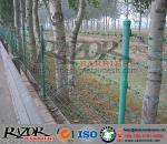 PVC coating Double Strand Barbed Wire Fence