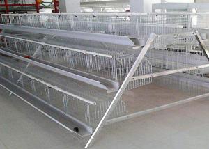 Buy cheap Durable Layer Poultry Farming Equipment High Rearing Efficiency Easy Operation product