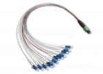 APC 12 core MTP / MPO – LC Fiber Optic Patch Cord for Premise Installations
